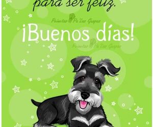 Andres