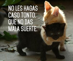 Carlos