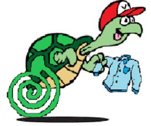 Tortugaveloz