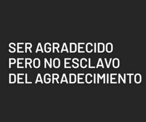 Jose rojas